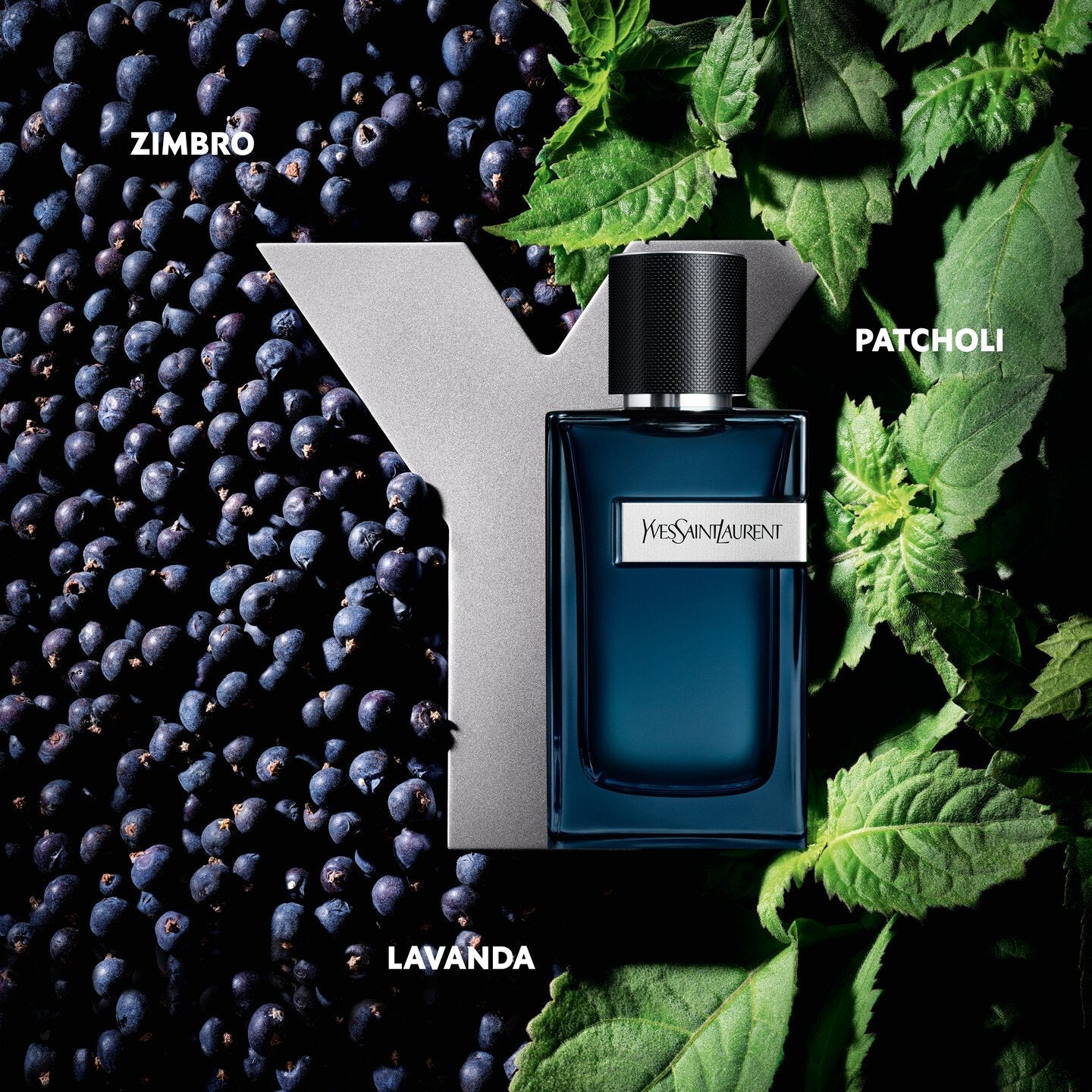 Perfume Masculino Y Intense Eau de Parfum - YSL