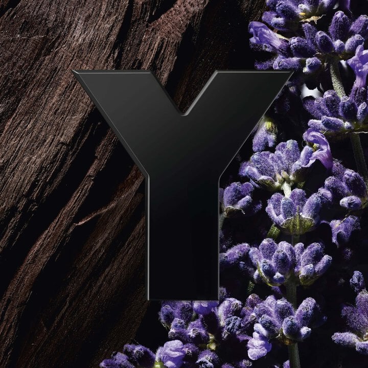 Y LE PARFUM